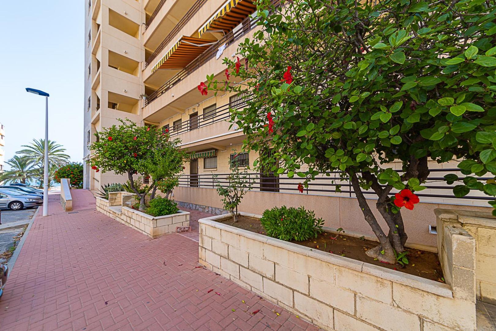 Appartamento Miramar Magic Sea & Sunrise View Torrevieja Esterno foto